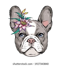 French bulldog puppy sketch. Portrait of a dog with an exotic flower. Vector illustration in hand-drawn style Stylish image for printing on any surface