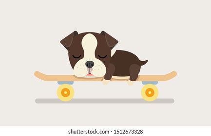 french bulldog puppy sleeping on skateboard