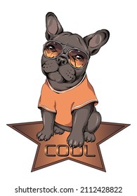 French bulldog puppy in sunglasses. Vector illustration in hand-drawn style . Image for printing on any surface