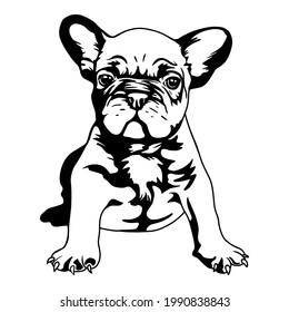 French Bulldog Puppy Vinyl Cutting File svg
