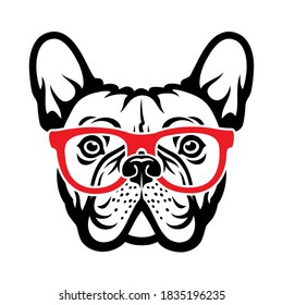 French bulldog with red eyeglasses  vector illustration