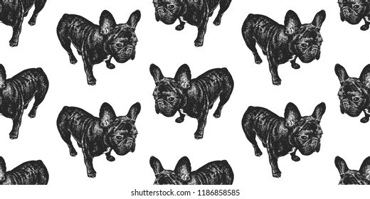 French Bulldog  Seamless pattern and cute puppies  Home pets isolated white background  Sketch  Vector illustration art  Realistic portraits animal  Vintage  Black   white hand drawing dog
