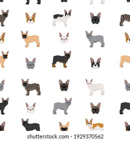 French bulldog seamless pattern.  Vector illustration