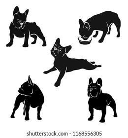 French bulldog set of vector illustrations - Frenchie