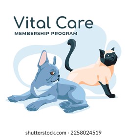French bulldog and Siamese cat sitting together isolated on white background. Advertising for breeders, pet stores, zoo clinics, pet groomers. Vector flat illustration