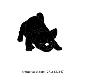 Vista frontal y posterior de la silueta del bulldog francés. Ilustración de forma de perro mínima. Lindo Vector Animal Cachorro. Gráfico de mascotas simple aislado.
