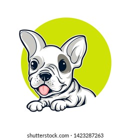 French bulldog sitting in front of white background