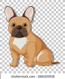 French Bulldog in sitting position cartoon character isolated on transparent background illustration