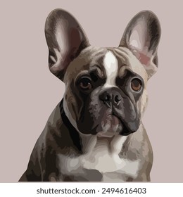 The French Bulldog is a small breed of domestic dog, known for its distinctive bat-like ears, compact and muscular body, and friendly, affectionate nature.