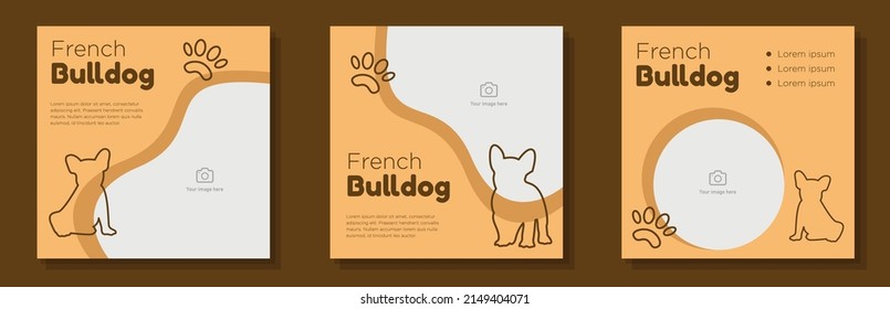 French bulldog social media post, banner set, baby pug pet dog advertisement concept, animal paws, dog care marketing square ad, abstract print, isolated on background.