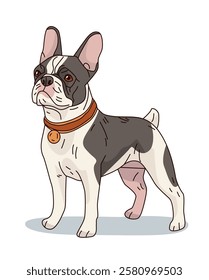 French Bulldog standing alert with a collar detailed cartoon style on white background pet animal design