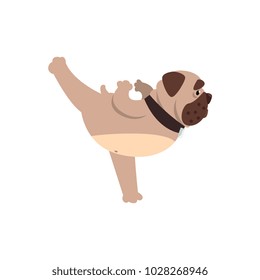 French bulldog standing in warrior or virabhadrasana pose, funny dog practicing yoga cartoon vector Illustration on a white background