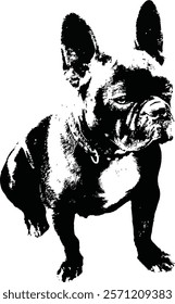 French Bulldog stencil; single color vector illustration.	