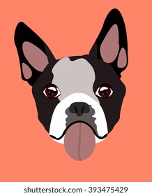 French bulldog stuck his tongue