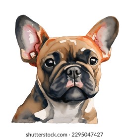 french bulldog with style hand drawn watercolor digital painting illustration