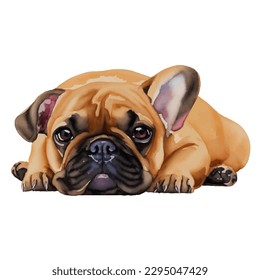 french bulldog with style hand drawn watercolor digital painting illustration