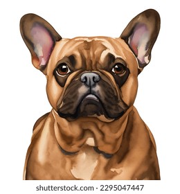 french bulldog with style hand drawn watercolor digital painting illustration