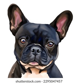 french bulldog with style hand drawn watercolor digital painting illustration