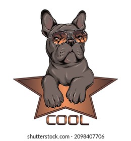 French bulldog in sunglasses. Vector illustration in hand-drawn style . Image for printing on any surface