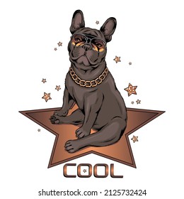 French bulldog in sunglasses. Vector illustration in hand-drawn style . Image for printing on any surface