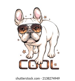 French bulldog in sunglasses. Vector illustration in hand-drawn style . Image for printing on any surface