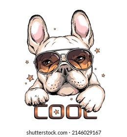 Perro de toro francés con gafas de sol. Ilustración vectorial en estilo dibujado a mano. Imagen para imprimir en cualquier superficie