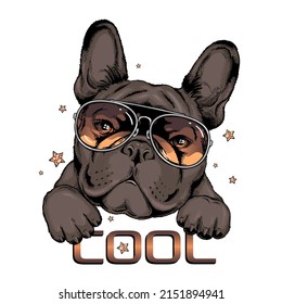 French bulldog in sunglasses. Vector illustration in hand-drawn style . Image for printing on any surface