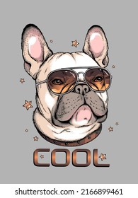 French bulldog in sunglasses. Vector illustration in hand-drawn style . Image for printing on any surface