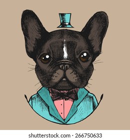 French bulldog in a tuxedo. Hand drawn vector illustration. Hipster style.