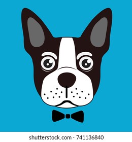 french bulldog vector background