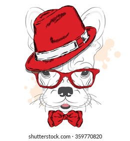 French Bulldog vector. Cartoon puppy. A dog in a hat and sunglasses. Cute puppy. Hipster. Boy. 