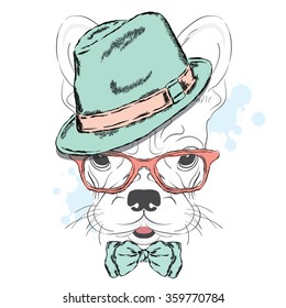 French Bulldog vector. A dog in a hat and sunglasses. Cute puppy. Hipster. Boy.