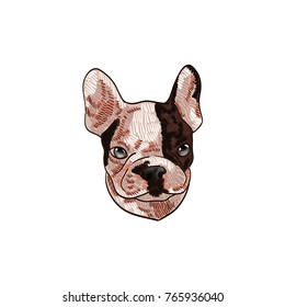French bulldog vector drawing illustration