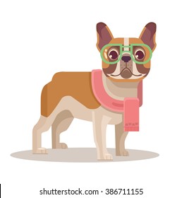 French bulldog. Vector flat cartoon illustration