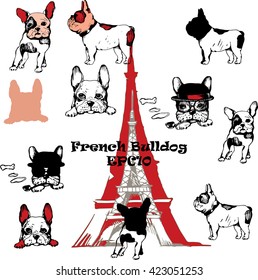 French Bulldog. Vector hand drawing  illustration. Logo and tags design.