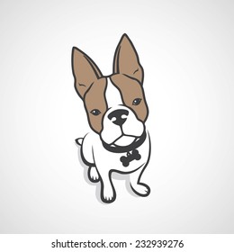 French bulldog - vector illustration