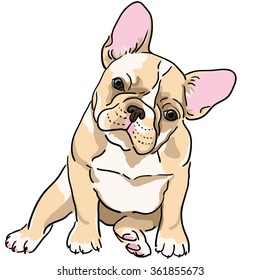 French Bulldog Vector Illustration Stock Vector (Royalty Free ...