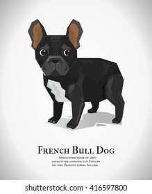 French bulldog, Vector illustration.