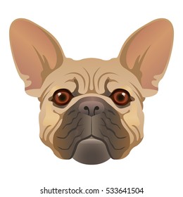 French Bulldog. Vector illustration.