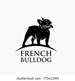 French bulldog - vector illustration