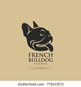 French bulldog - vector illustration