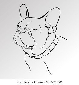 French Bulldog. Vector illustration for a card or poster. Print on clothes. Cute puppy. Pedigree dog.