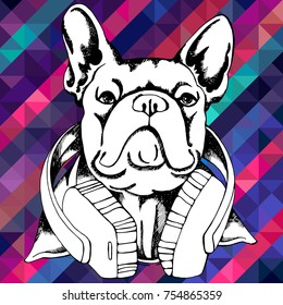 French Bulldog. Vector illustration for a card or poster. Print on clothes. Cute puppy. Pedigree dog.