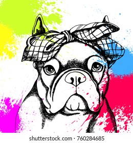 French Bulldog. Vector illustration for a card or poster. Print on clothes. Cute puppy. Pedigree dog.