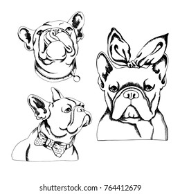 French Bulldog. Vector illustration for a card or poster. Print on clothes. Cute puppy. Pedigree dog.