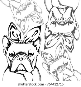 French Bulldog. Vector illustration for a card or poster. Print on clothes. Cute puppy. Pedigree dog.