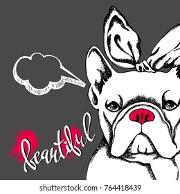 French Bulldog. Vector illustration for a card or poster. Print on clothes. Cute puppy.