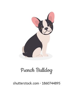 French Bulldog. Vector illustration of cute black and white puppy in flat style. Isolated on white