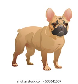 French Bulldog. Vector illustration doggy.