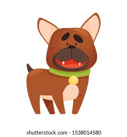 French Bulldog. Vector illustration on a white background.